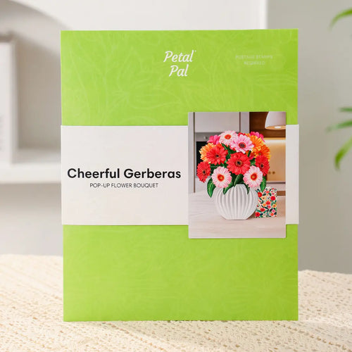 Glada Gerberas pop-up bukett