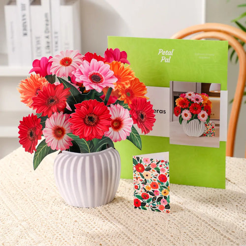 Glada Gerberas pop-up bukett