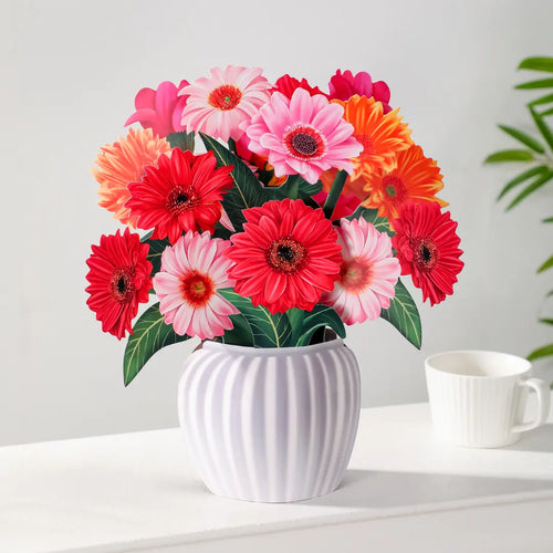 Glada Gerberas pop-up bukett