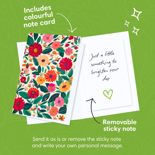 Glada Gerberas pop-up bukett