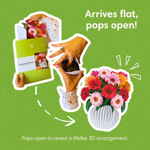 Glada Gerberas pop-up bukett