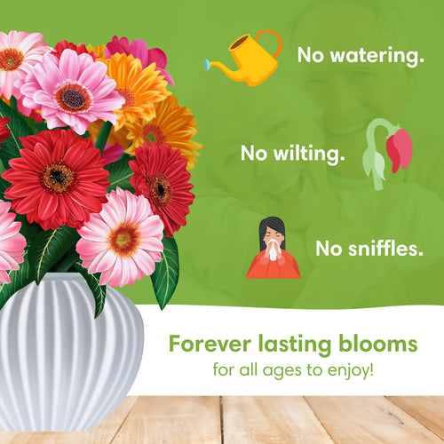 Glada Gerberas pop-up bukett