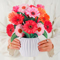 Glada Gerberas pop-up bukett