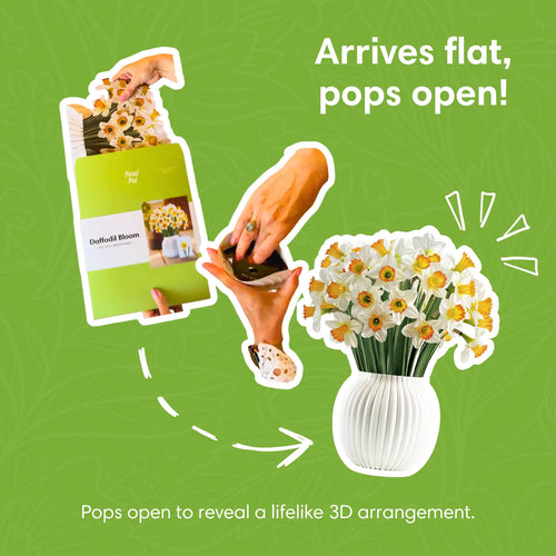 Daffodil Bloom Pop-Up Bouquet