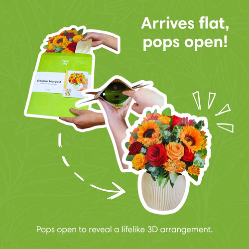 Pop-up-bukett