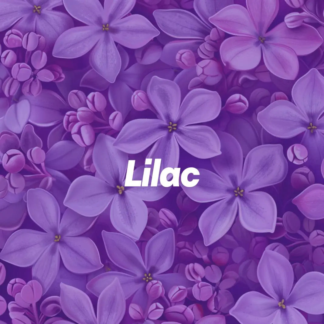 Lilac Aroma Diffuser PetalPal